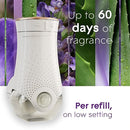 Glade PlugIns Refills Air Freshener, Scented and Essential Oils for Home and Bathroom, Tranquil Lavender & Aloe, 1.34 Fl Oz, 2 Count