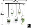 Umbra Triflora Hanging Planter, Set of 5, White