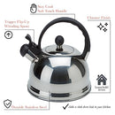 Chrome stainless steel whistling tea kettle with black handle on a white background.