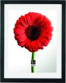 Umbra Picture Frame 13x16 inch, Black