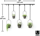 Umbra Triflora Hanging Planter, Set of 5, Black