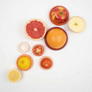 Food Huggers Set of 5 Terra Cotta