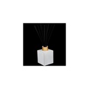 The Trapp No. 25 Lavender de Provence reed diffuser with black reeds and a gold cap, displayed against a dark background.
