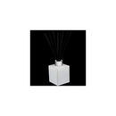 The Trapp No. 25 Lavender de Provence reed diffuser with black reeds and a silver cap, presented on a dark background.