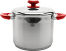 9-quart polished stainless steel stockpot with red heat-resistant handles and matching stainless steel lid on a white background.