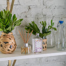 Lavender Reed Diffuser Oil Refill