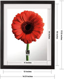 Sleek black frame with a white mat