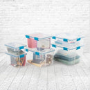 Clear Sterilite 20 Quart Gasket Box with a white lid and blue latches.