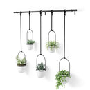 Umbra Triflora Hanging Planter, Set of 5, White