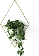 Umbra Trigg Hanging Planter Vase & Geometric Wall Decor Container - Great For Succulent Plants, Air Plant, Mini Cactus, Faux Plants and More, White Ceramic/Brass