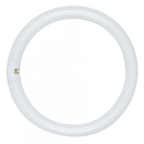 Circular fluorescent tube light with a white finish and a four-pin connector on one side. Energy-efficient lighting solution for ceiling fixtures and ring light applications.