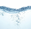 Add The Mikvah Service