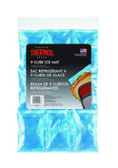Blue Thermos 9-cube ice mat shown on a white background, designed for reuse and flexible cooling in lunch bags or coolers.