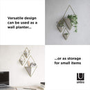 Umbra Trigg Hanging Planter Vase & Geometric Wall Decor Container - Great For Succulent Plants, Air Plant, Mini Cactus, Faux Plants and More, White Ceramic/Brass